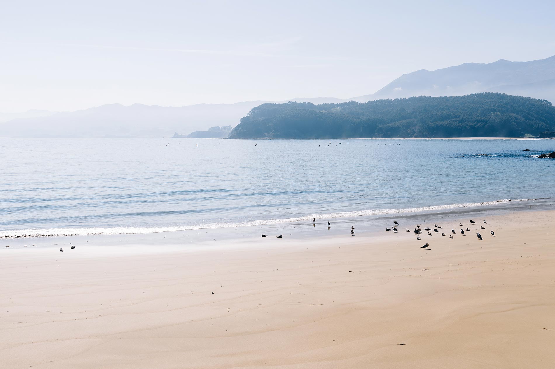 Calidad y Sostenibilidad Certificadas: Claves para el Turismo del Presente