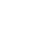 STE